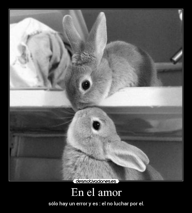 En el amor - 