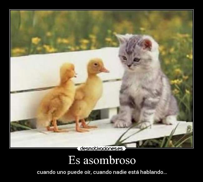 Es asombroso - cuando uno puede oír, cuando nadie está hablando...