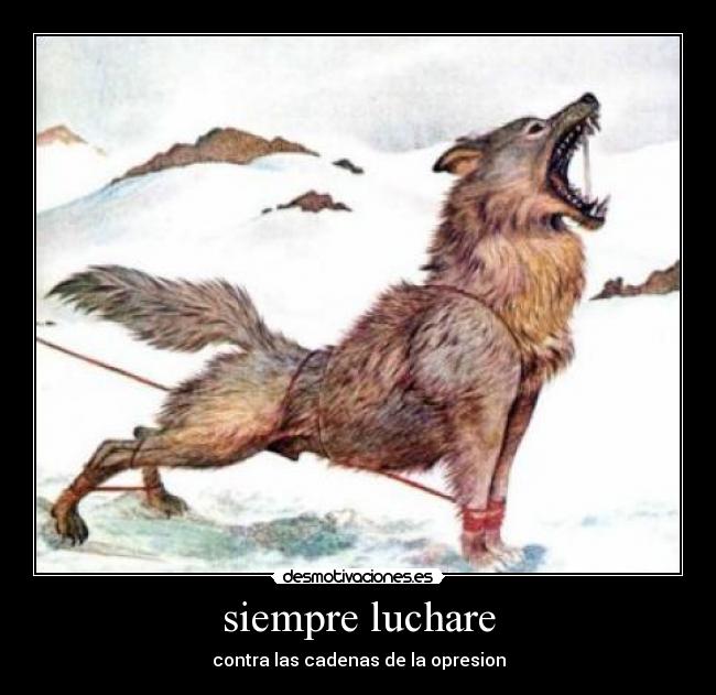 carteles lucha desmotivaciones
