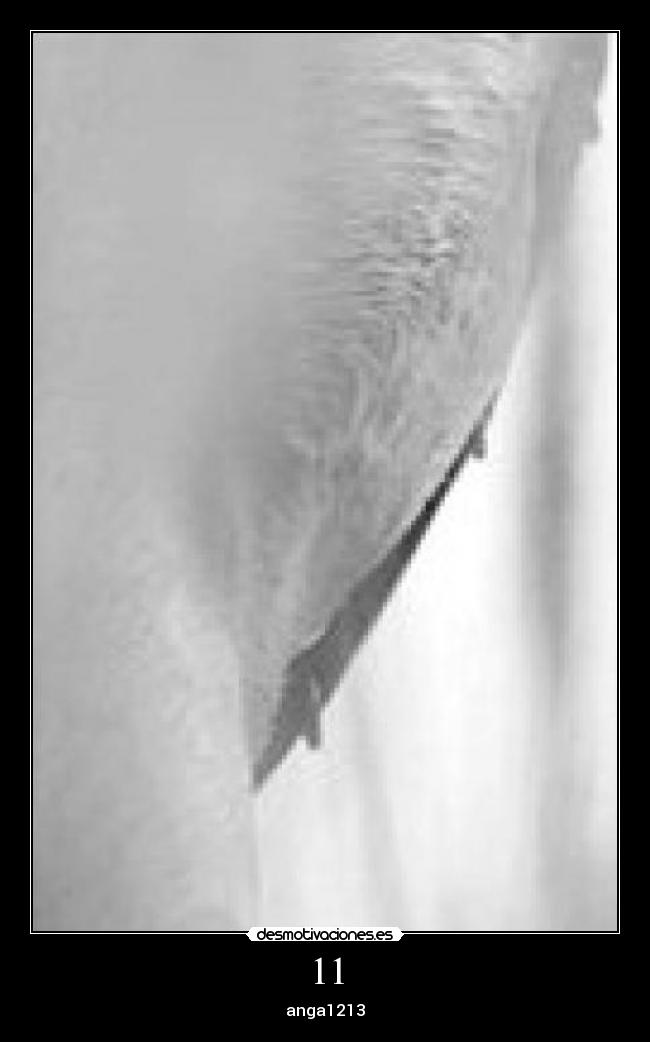 11 - anga1213