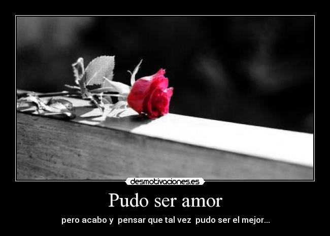 Pudo ser amor - 