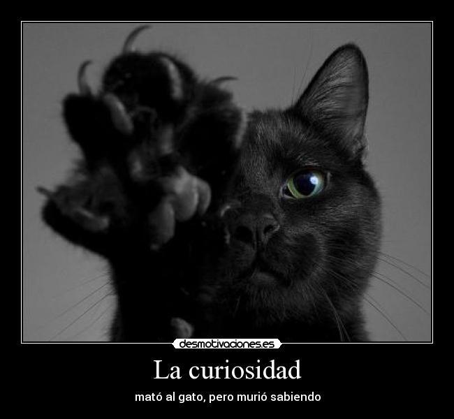 La curiosidad -