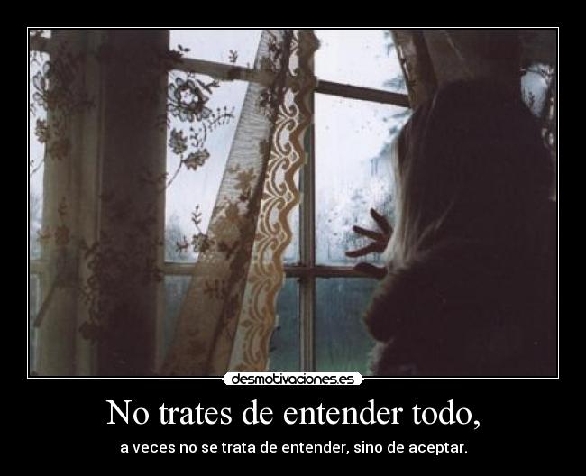 No trates de entender todo, - a veces no se trata de entender, sino de aceptar.