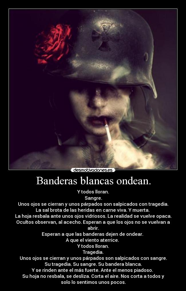 Banderas blancas ondean. - Y todos lloran.
Sangre.
Unos ojos se cierran y unos párpados son salpicados con tragedia.
La sal brota de las heridas en carne viva. Y muerta. 
La hoja resbala ante unos ojos vidriosos. La realidad se vuelve opaca.
Ocultos observan, al acecho. Esperan a que los ojos no se vuelvan a
abrir.
Esperan a que las banderas dejen de ondear. 
A que el viento aterrice. 
Y todos lloran.
Tragedia.
Unos ojos se cierran y unos párpados son salpicados con sangre.
Su tragedia. Su sangre. Su bandera blanca.
Y se rinden ante el más fuerte. Ante el menos piadoso. 
Su hoja no resbala, se desliza. Corta el aire. Nos corta a todos y
solo lo sentimos unos pocos.