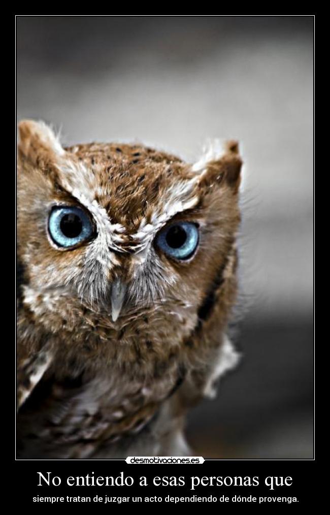 No entiendo a esas personas que - siempre tratan de juzgar un acto dependiendo de dónde provenga.