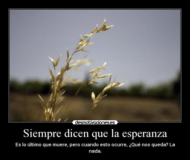 Siempre dicen que la esperanza - Es lo último que muere, pero cuando esto ocurre, ¿Qué nos queda? La nada.