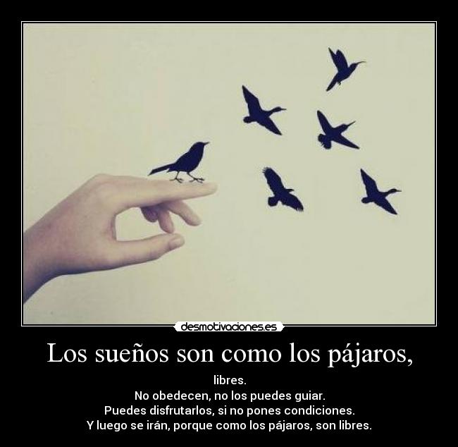 carteles ceroaladerechadespuesdecoma desmotivaciones