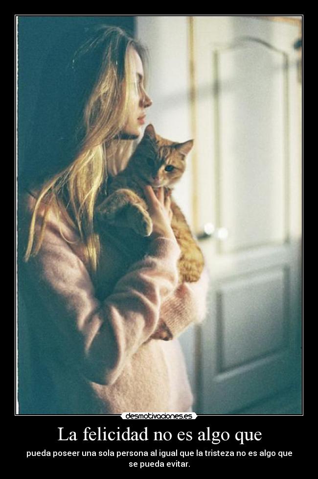 carteles felicidad verdosa desu ultimamente salen carteles mas largos resubido desmotivaciones