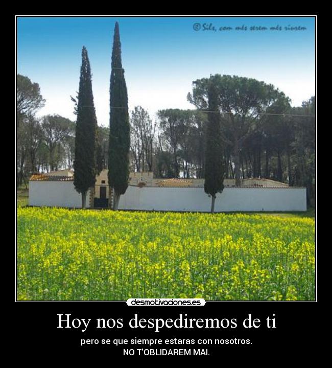 Hoy nos despediremos de ti - pero se que siempre estaras con nosotros.
NO TOBLIDAREM MAI.