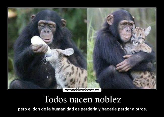 Todos nacen noblez - pero el don de la humanidad es perderla y hacerle perder a otros.