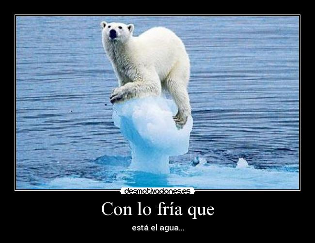 carteles fria agua oso polar desmotivaciones