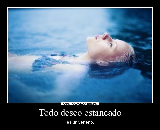 carteles amm andre maurois meriirem desmotivaciones