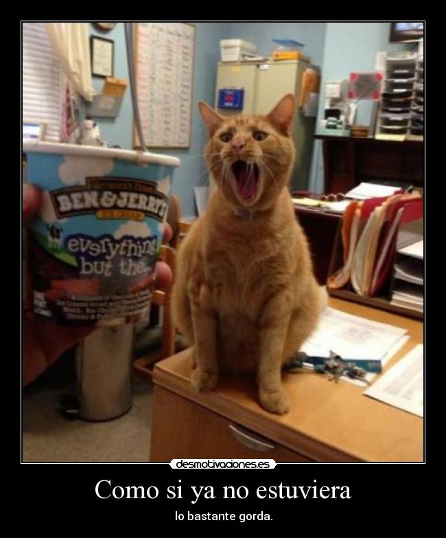 Como si ya no estuviera - lo bastante gorda.
