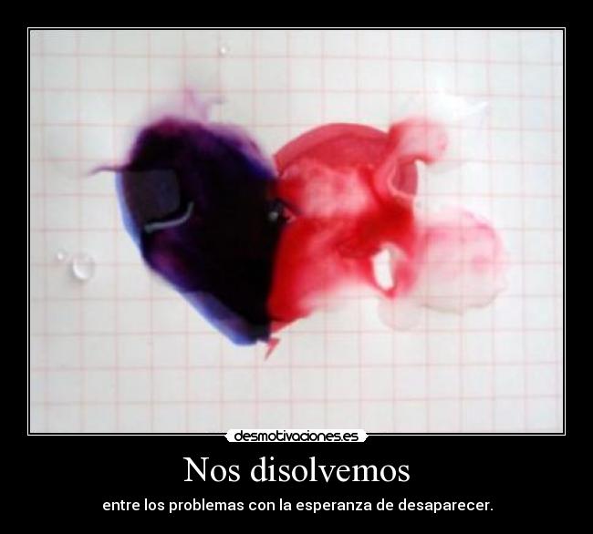 Nos disolvemos -