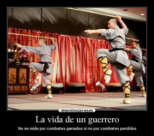 La vida de un guerrero - 