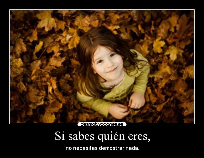 carteles belkin desmotivaciones