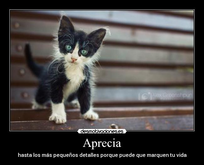 Aprecia -