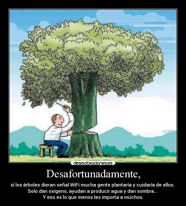 Desafortunadamente, - si los árboles dieran señal WiFi mucha gente plantaría y cuidaría de ellos.
Solo dan oxígeno, ayudan a producir agua y dan sombra...
Y eso es lo que menos les importa a muchos.