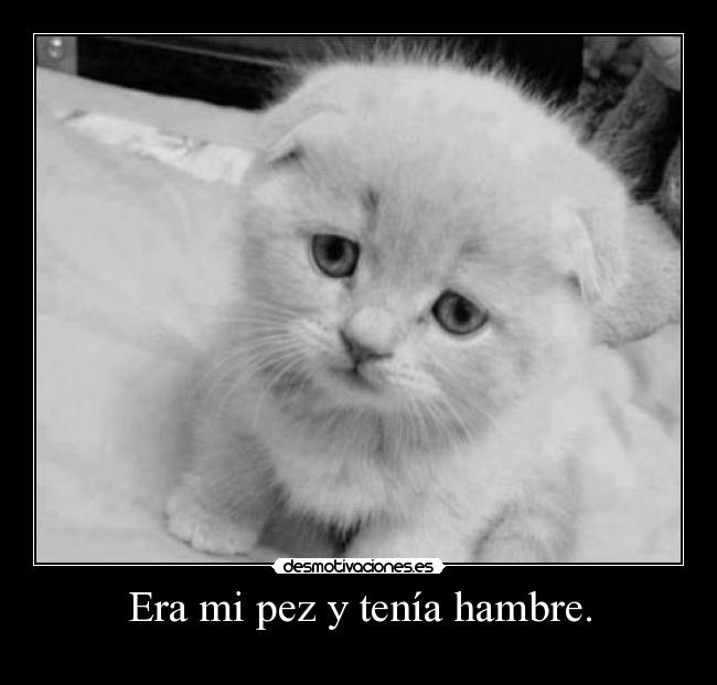 Era mi pez y tenía hambre. -