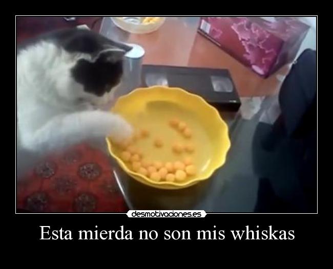 Esta mierda no son mis whiskas - 