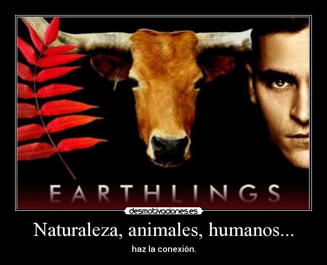 Naturaleza, animales, humanos... - haz la conexión.