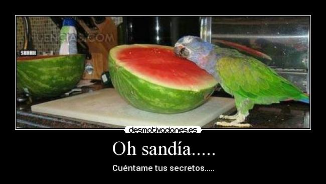 Oh sandía..... - Cuéntame tus secretos.....