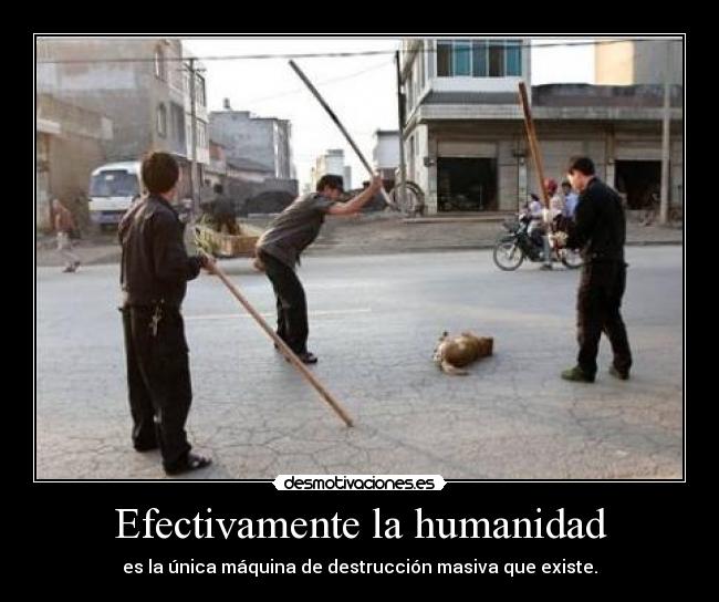 Efectivamente la humanidad - es la única máquina de destrucción masiva que existe.