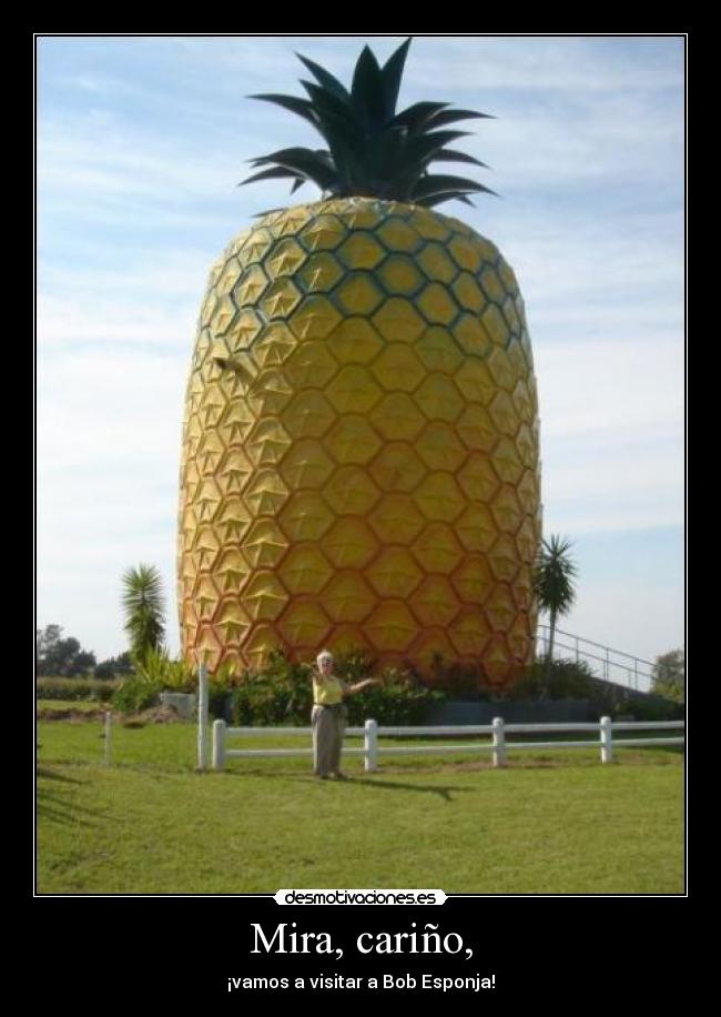 Mira, cariño, - ¡vamos a visitar a Bob Esponja!