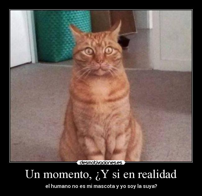 Un momento, ¿Y si en realidad - 
