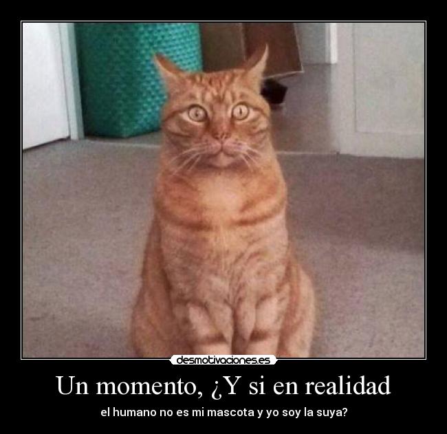 Un momento, ¿Y si en realidad - 