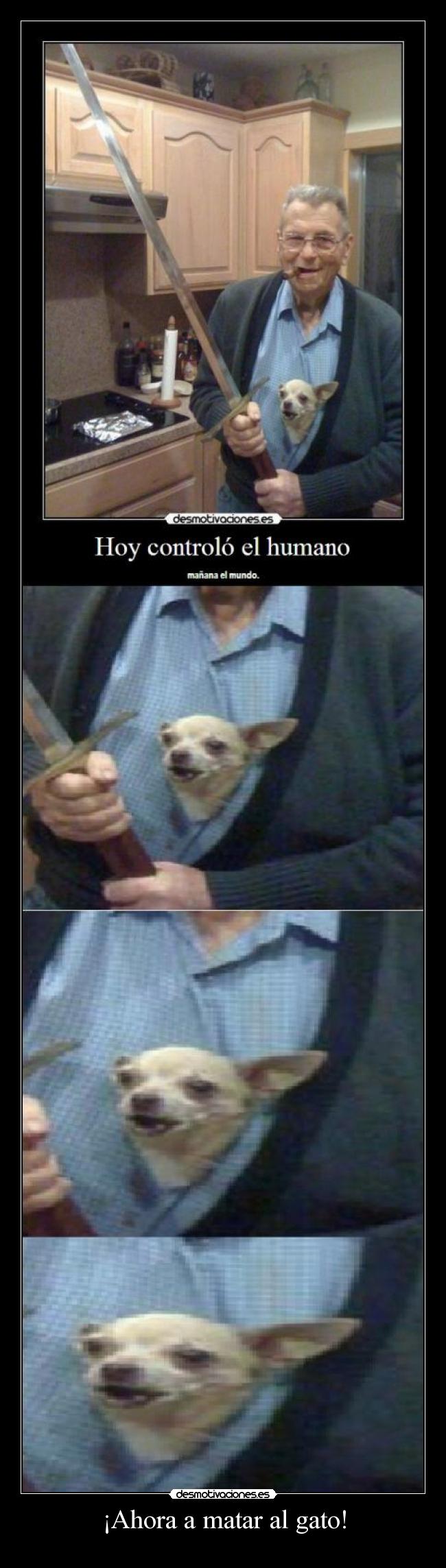 ¡Ahora a matar al gato! - 