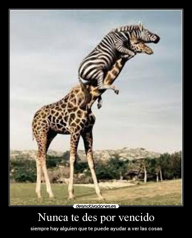 Nunca te des por vencido -