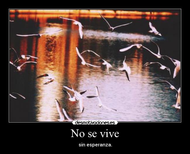 No se vive -