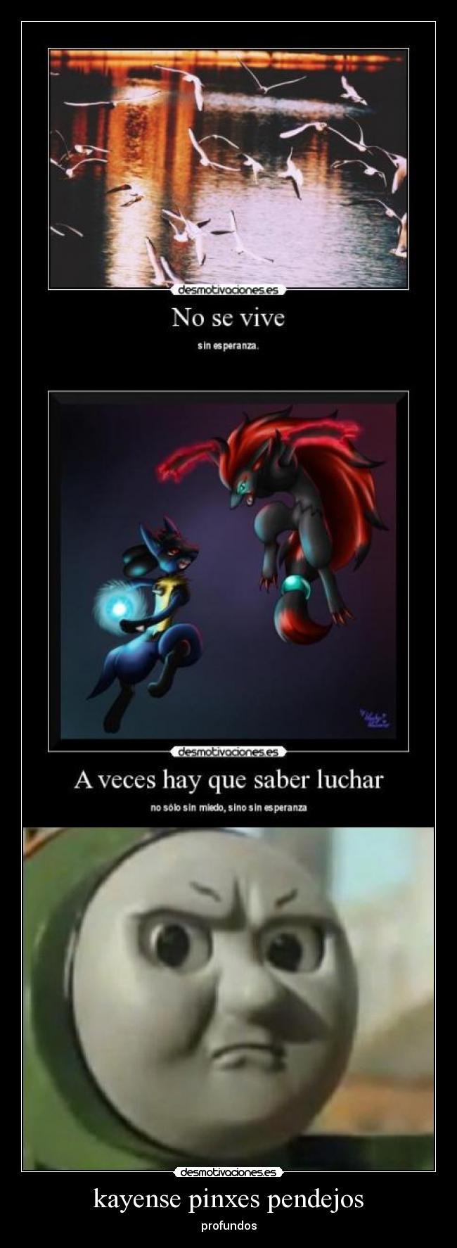 kayense pinxes pendejos - profundos