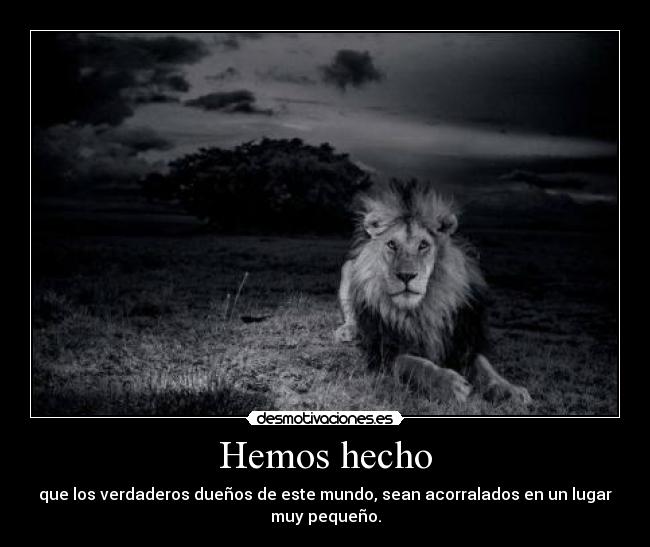 Hemos hecho -