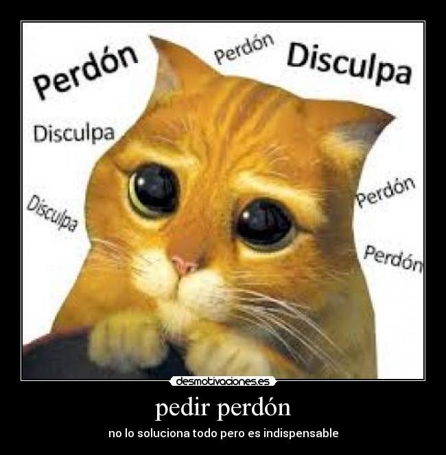 pedir perdón - 