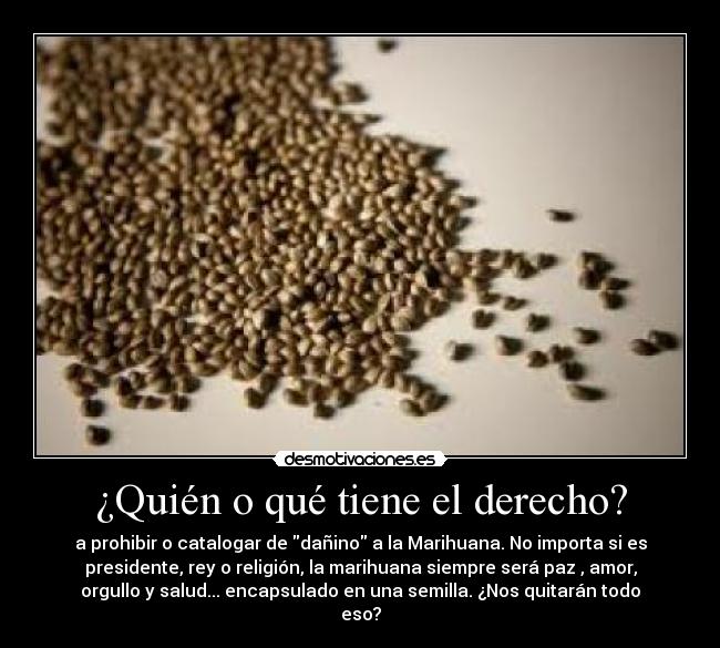 carteles lacrudaverdad desmotivaciones