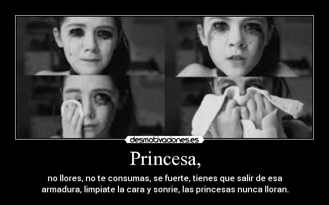 carteles princesa desmotivaciones