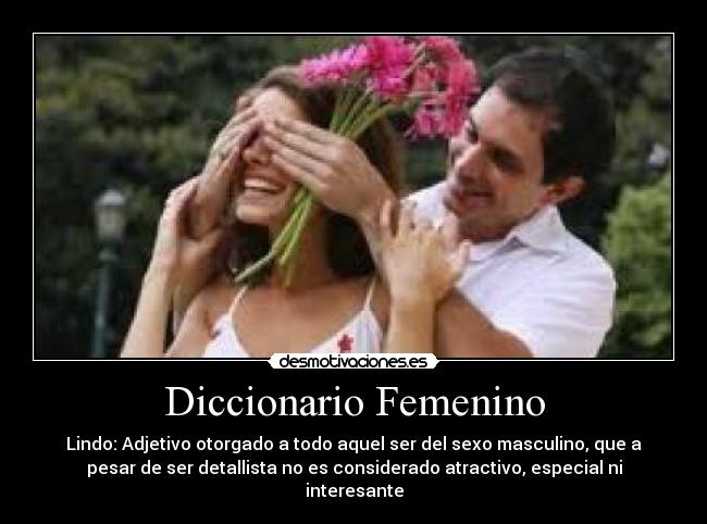 Diccionario Femenino -