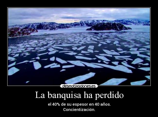 La banquisa ha perdido - el 40% de su espesor en 40 años.
Concientización.
