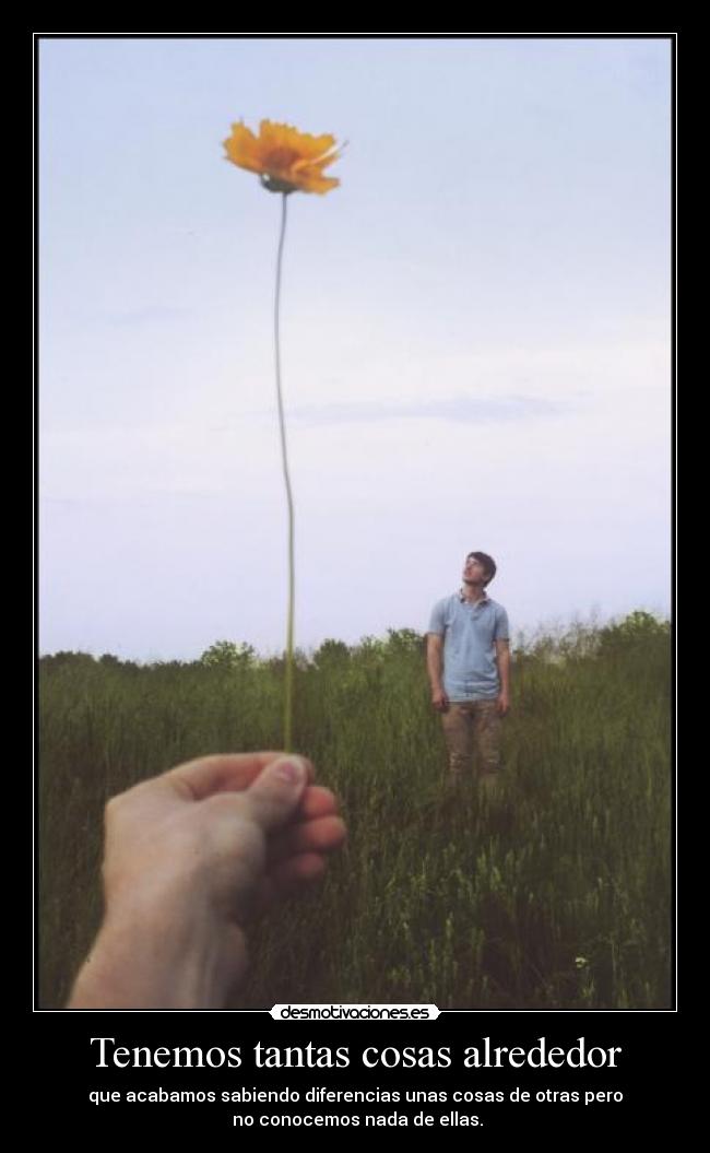 Tenemos tantas cosas alrededor - 