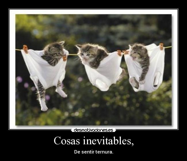 Cosas inevitables, - De sentir ternura.