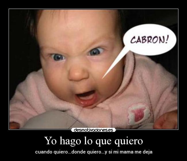 Yo hago lo que quiero -
