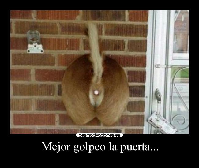 Mejor golpeo la puerta... - 