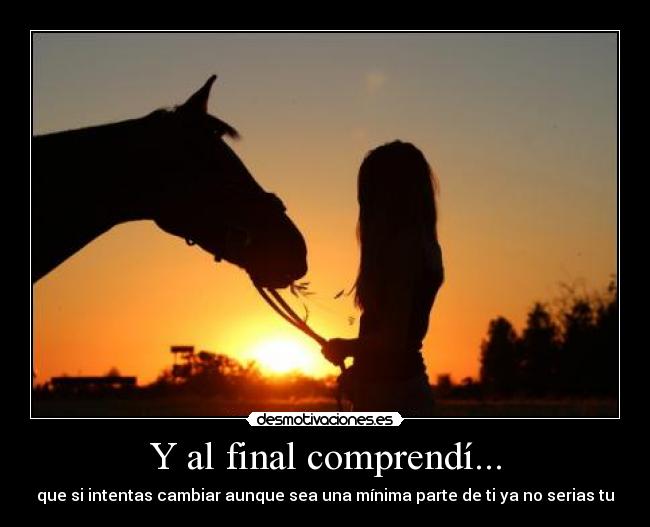 Y al final comprendí... - 