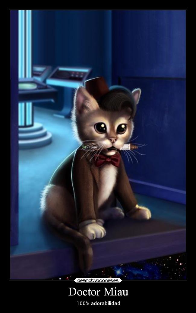 carteles amo gatito gatete doctorwho doctor matt smith eleventh desmotivaciones