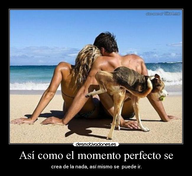Así como el momento perfecto se - crea de la nada, así mismo se puede ir.