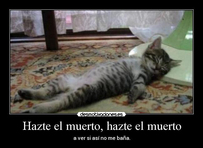 Hazte el muerto, hazte el muerto - 