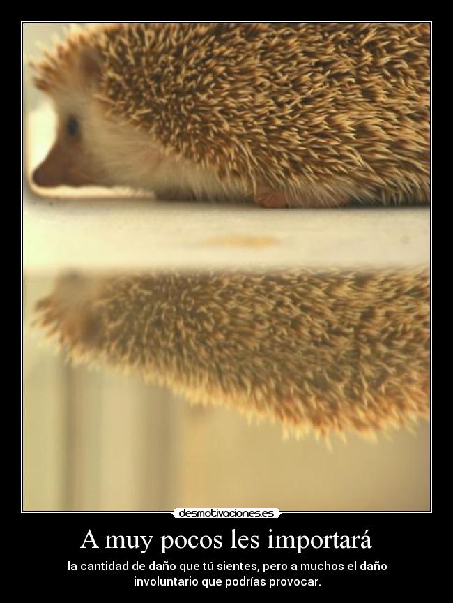 carteles rams ejercitodemar puercoespin pene desmotivaciones