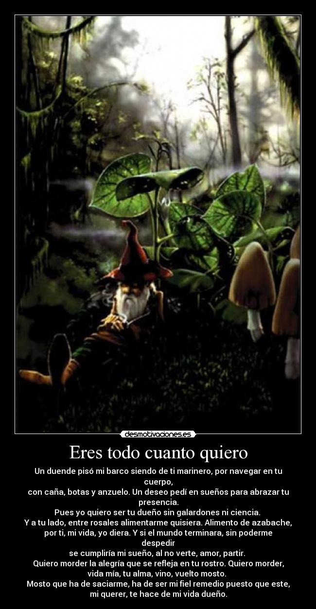 Eres todo cuanto quiero -